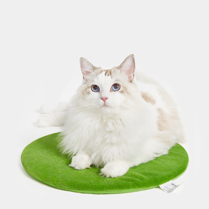 Niche pour chat Cactus en velours plus