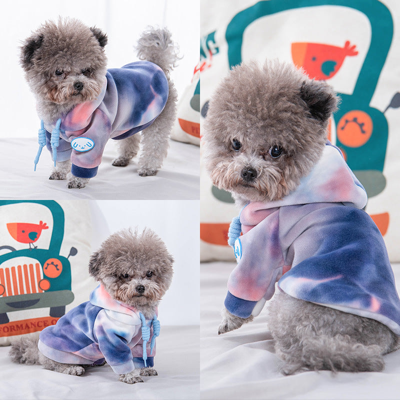 Chien portant un pull en polyester tendance, coloré et confortable pour animaux, idéal pour journées froides.