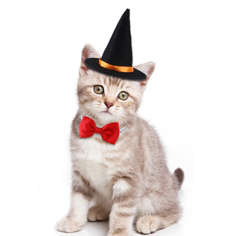 Chat avec chapeau de sorcier et nœud papillon rouge, parfait pour Halloween.