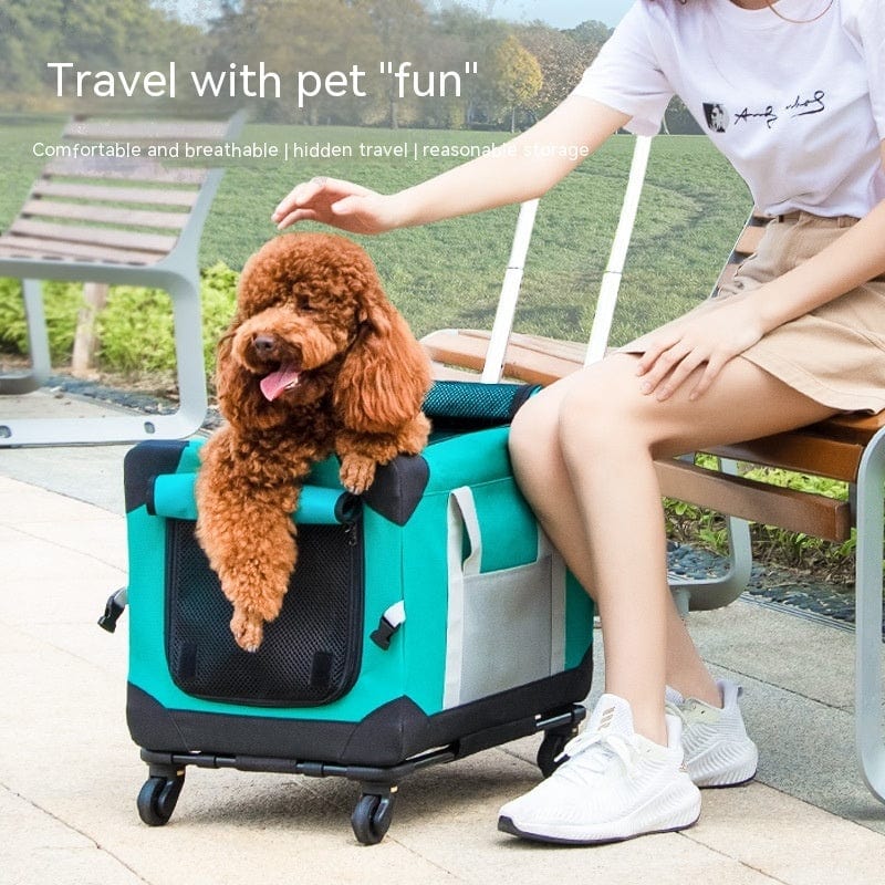 Sac de transport confortable et respirant pour animaux, idéal pour le voyage avec un chien.