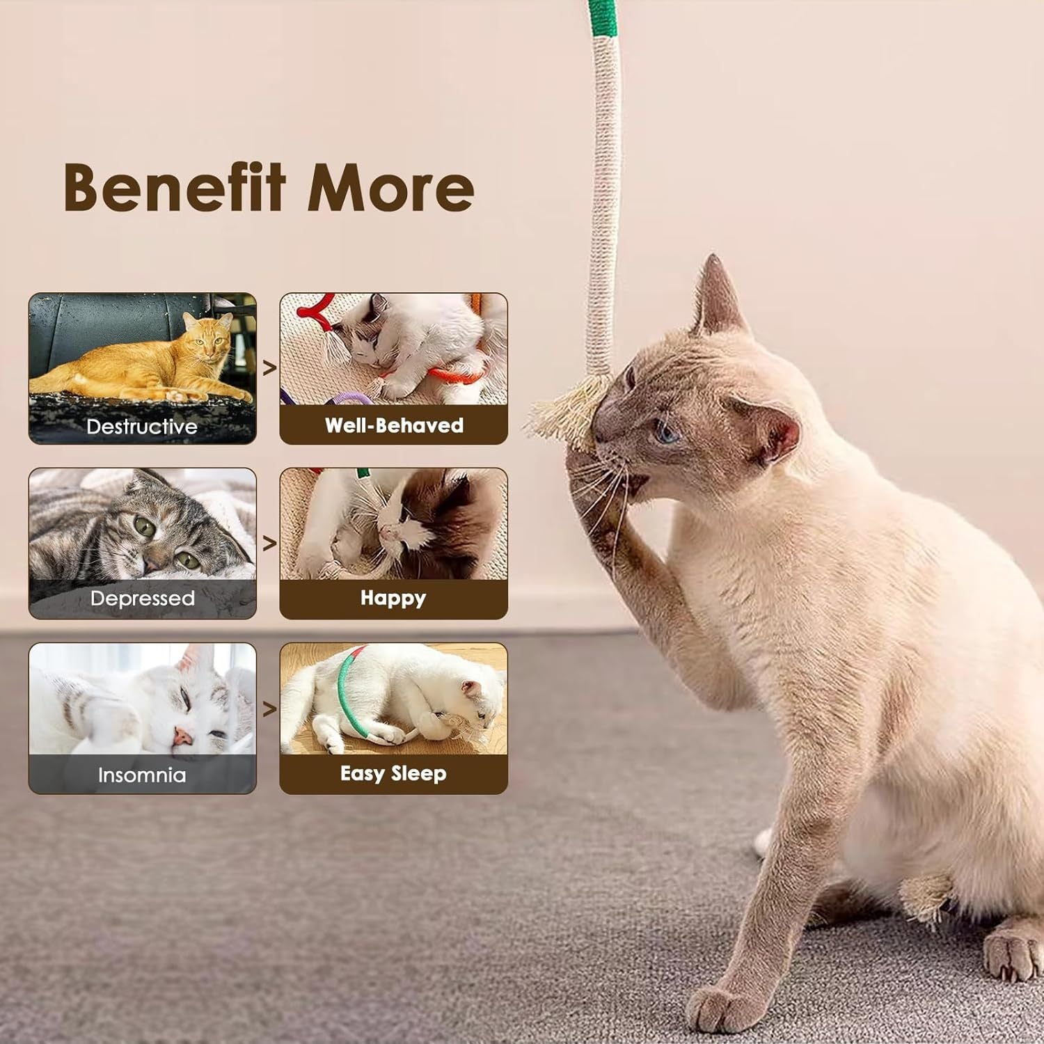Jouet en Corde de Coton pour Chats Intérieurs