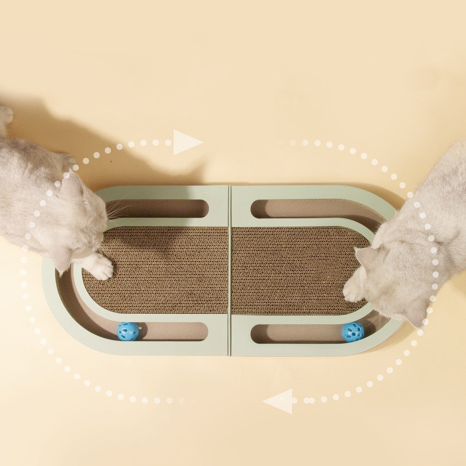 Jouet interactif pour chat, planche à griffer pliable avec balle, parfait pour le jeu et le grattage.