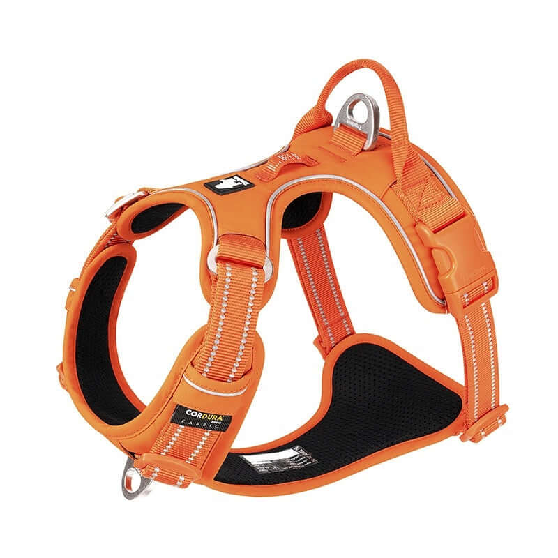 Harnais réfléchissant orange pour chien, confortable et durable avec sangles ajustables.