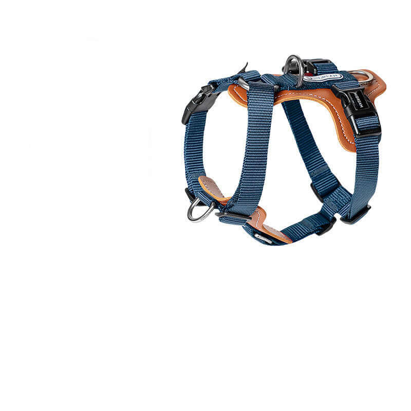 Harnais de sécurité pour chien en nylon durable, conçu pour un confort optimal et une sécurité renforcée.