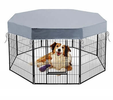 Chien heureux dans un enclos octogonal avec une housse de protection en extérieur pour animaux.