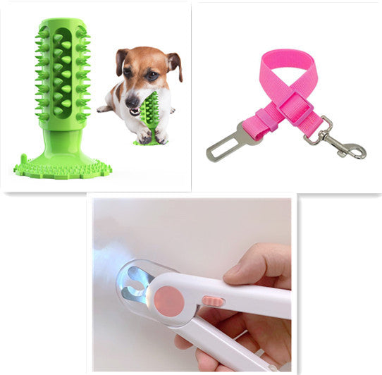 Brosse à Dents pour Chien Stick Molaire