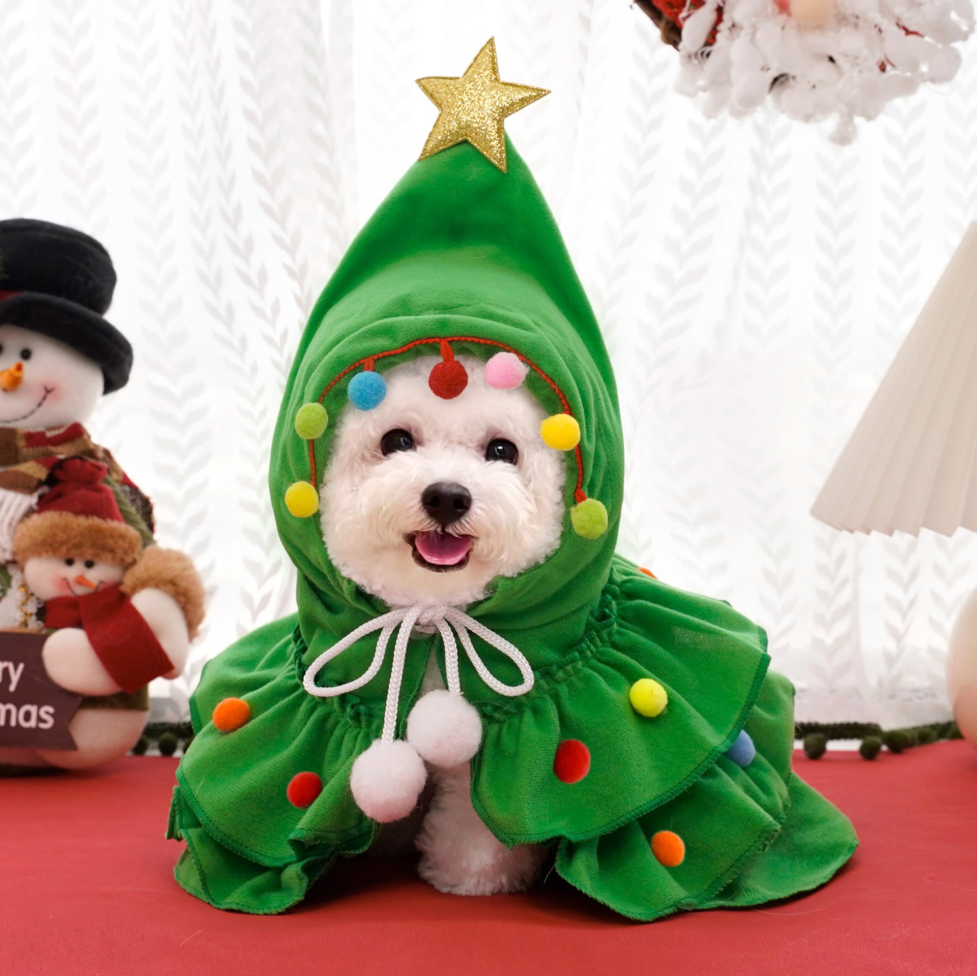 Costume de Noël pour Chat avec Étoile