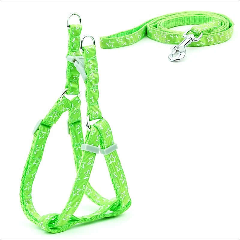Laisse et harnais verts pour chien avec motifs étoiles, confort et sécurité pour animaux de compagnie.