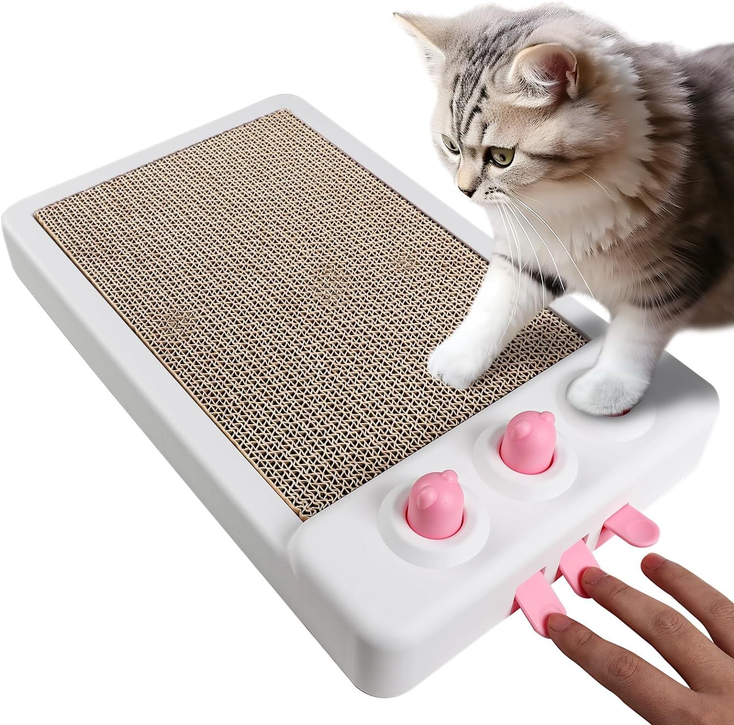 Grattoir pour Chat Interactif Whack A Mole