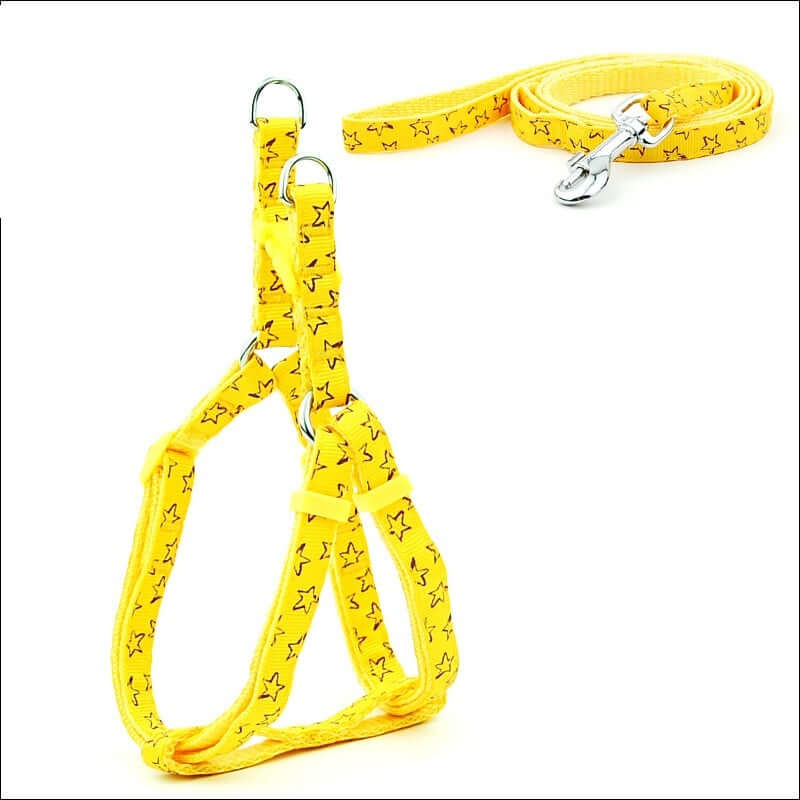 Laisse et harnais pour chien jaune à pois, robuste et confortable, idéal pour animaux de petite et moyenne taille.