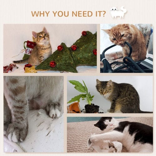 Collage of playful cats engaging with toys, plants, and festive decor, highlighting pet enrichment needs.