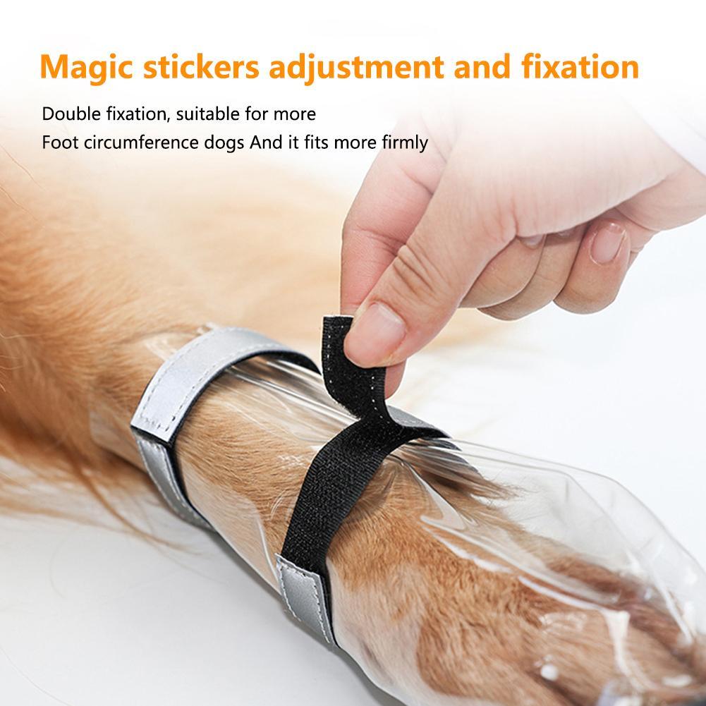 A hand adjusting magic stickers for secure fixation on a dog's paw, ensuring a comfortable fit.