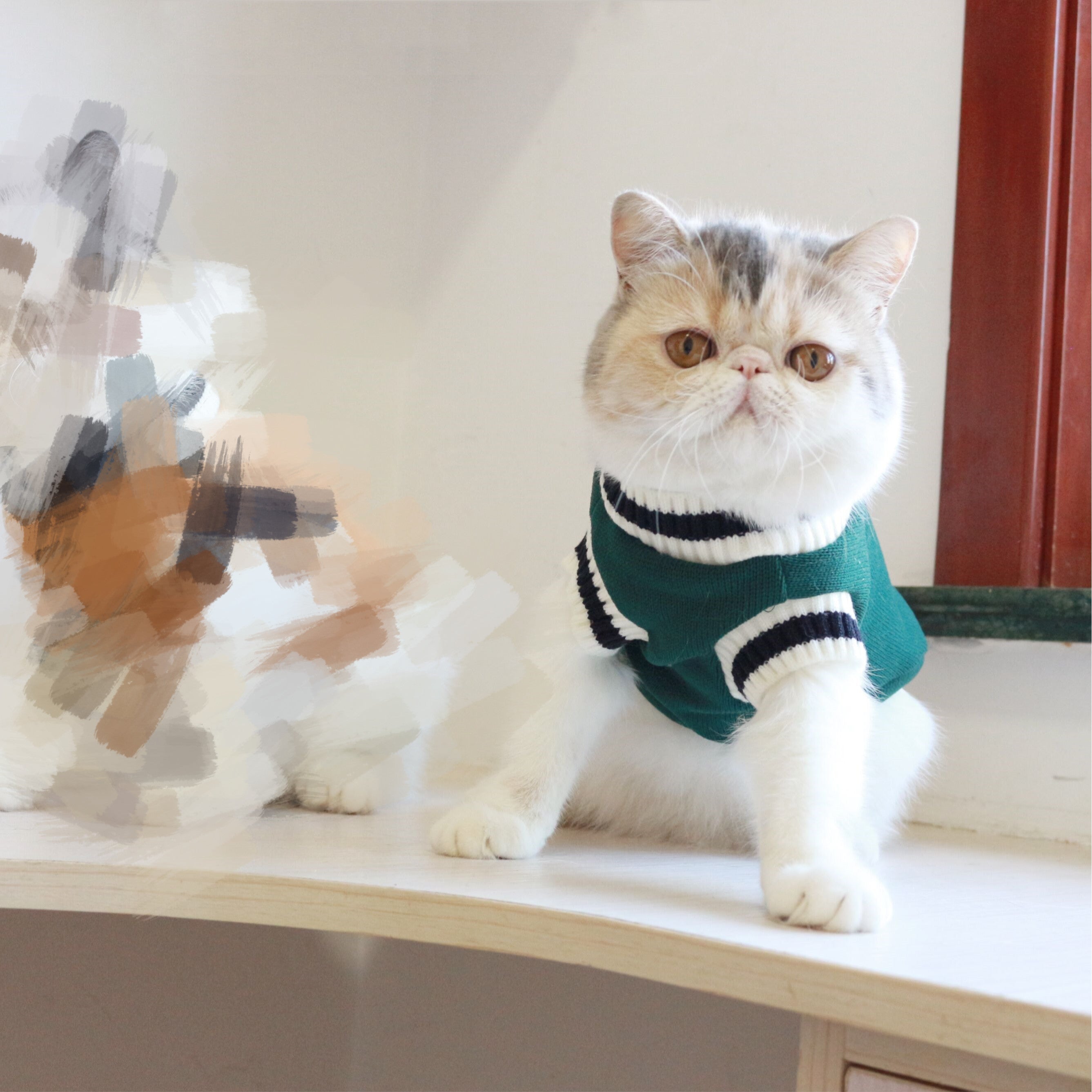 Chat portant un gilet sans manches en laine vert au style universitaire américain, confort et élégance.