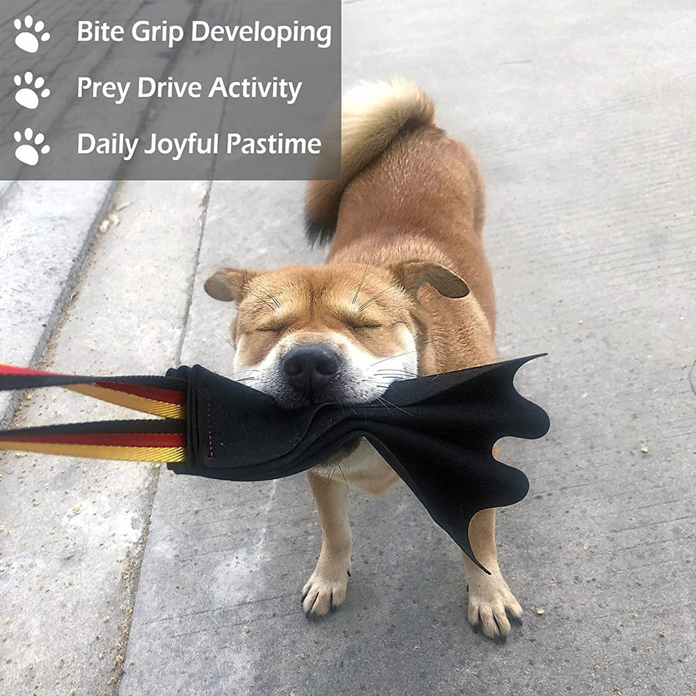 Jouet de Dressage en Cuir Crazy Horse pour Chiens