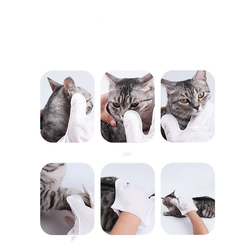 Gants de nettoyage pour animaux de compagnie sans bain