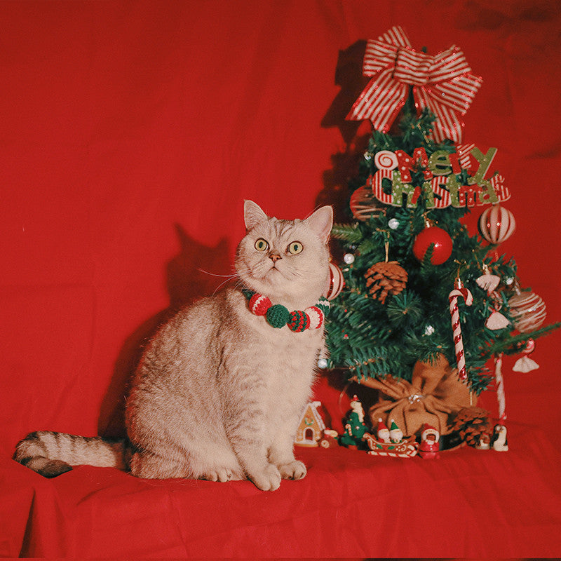 Chat avec un collier coloré devant un sapin de Noël décoré en rouge.