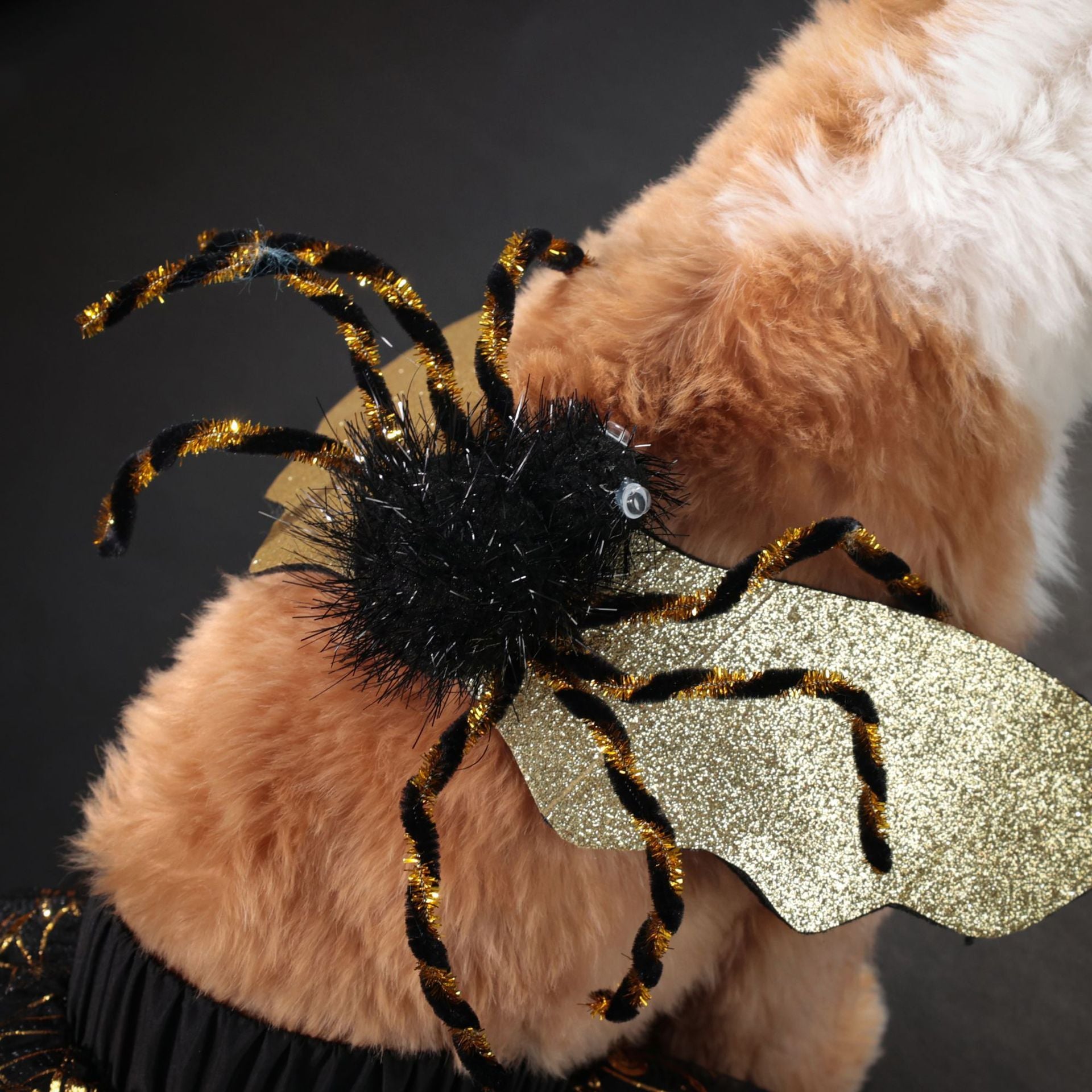 Costume Halloween pour chien avec ailes dorées et araignée en peluche, parfait pour les célébrations festives.