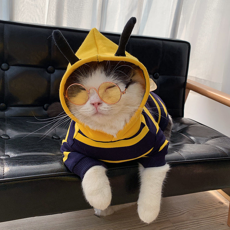 Chat portant un costume abeille avec des lunettes de soleil, assis sur un canapé noir moderne.
