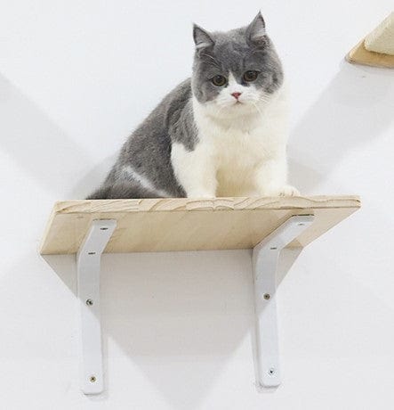 Chat sur une étagère en bois, offrant un espace pour se reposer et jouer.