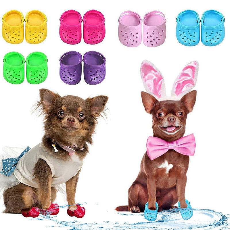 Chiens portant des chaussures colorées en silicone pour une protection stylée lors des aventures en plein air.