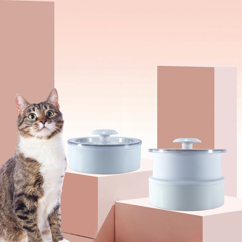 Fontaine à boire pliante et lumineuse pour animaux avec chat curieux en arrière-plan.
