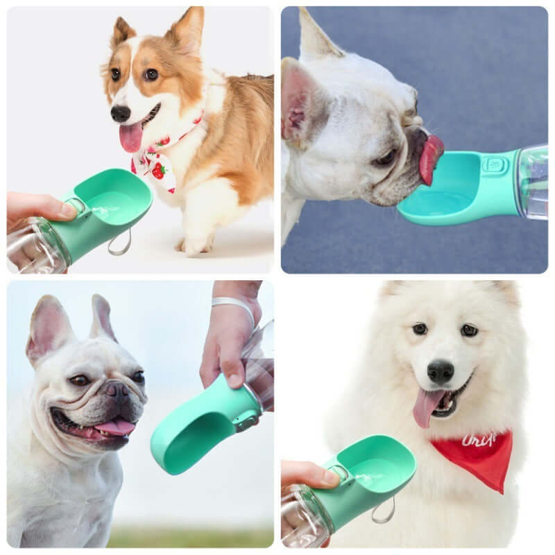 Gourde portable pour chien, distributeur d'eau pratique pour animaux de compagnie, idéale pour les promenades.