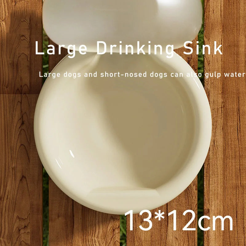 Bouteille d'eau portable 500ml pour chiens et chats