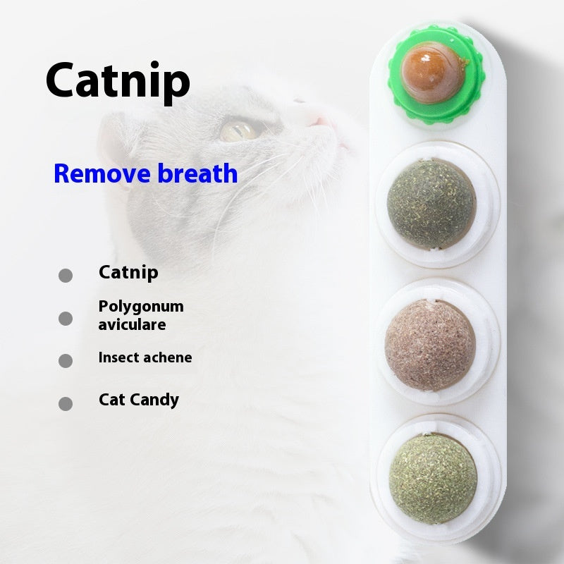 Balle en Herbe à Chat - Jouet Autonome