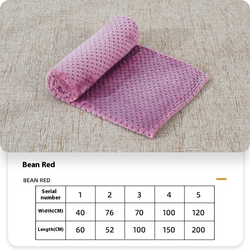 Couverture en Coral Fleece d'Été pour Chiens