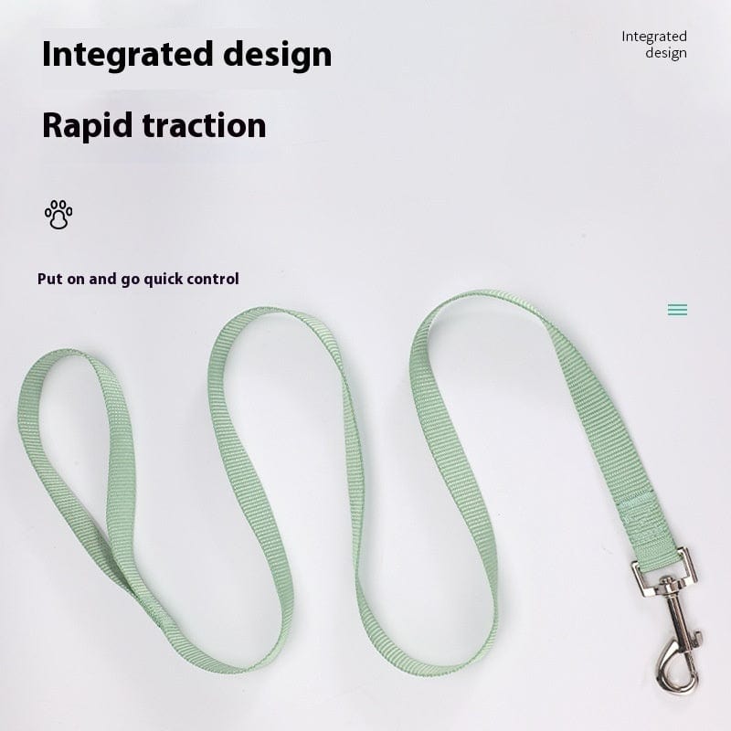 Laisse pour chien en nylon vert, design intégré pour traction rapide et contrôle facile.