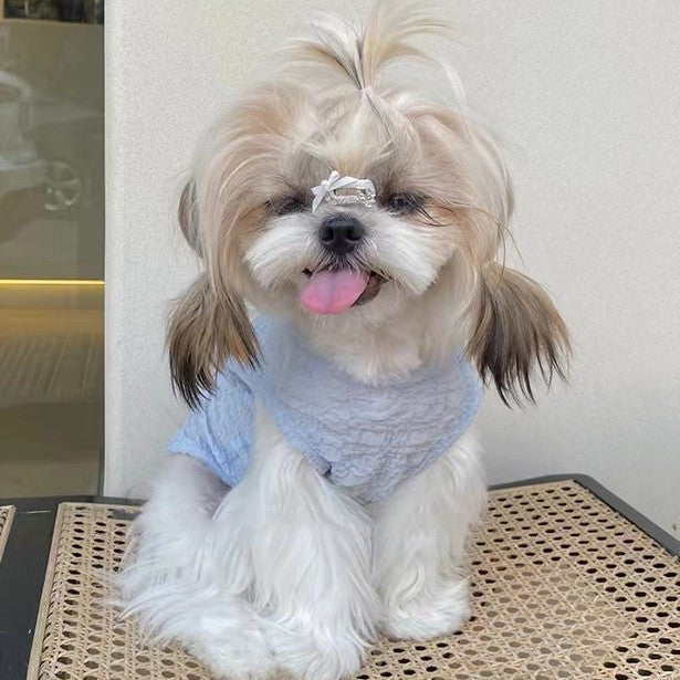 Chien mignon avec un gilet léger bleu, assis sur une surface tissée, exprimant un style décontracté.