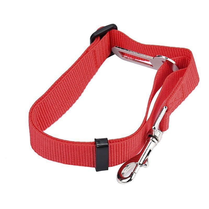 Corde de sécurité rétractable en nylon rouge pour chien, légère et résistante, idéale pour les promenades.