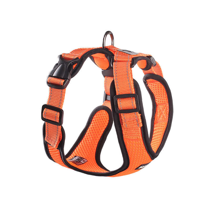 Harnais pour chien en maille orange, réfléchissant et respirant pour confort et sécurité lors des promenades.