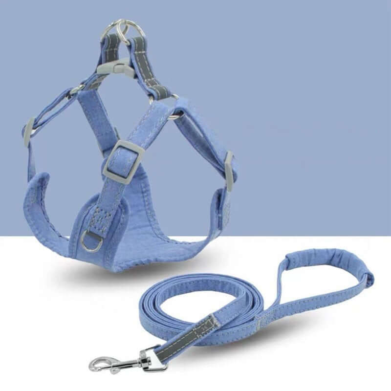 Harnais de sécurité bleu pour chien avec corde de traction assortie sur fond clair.
