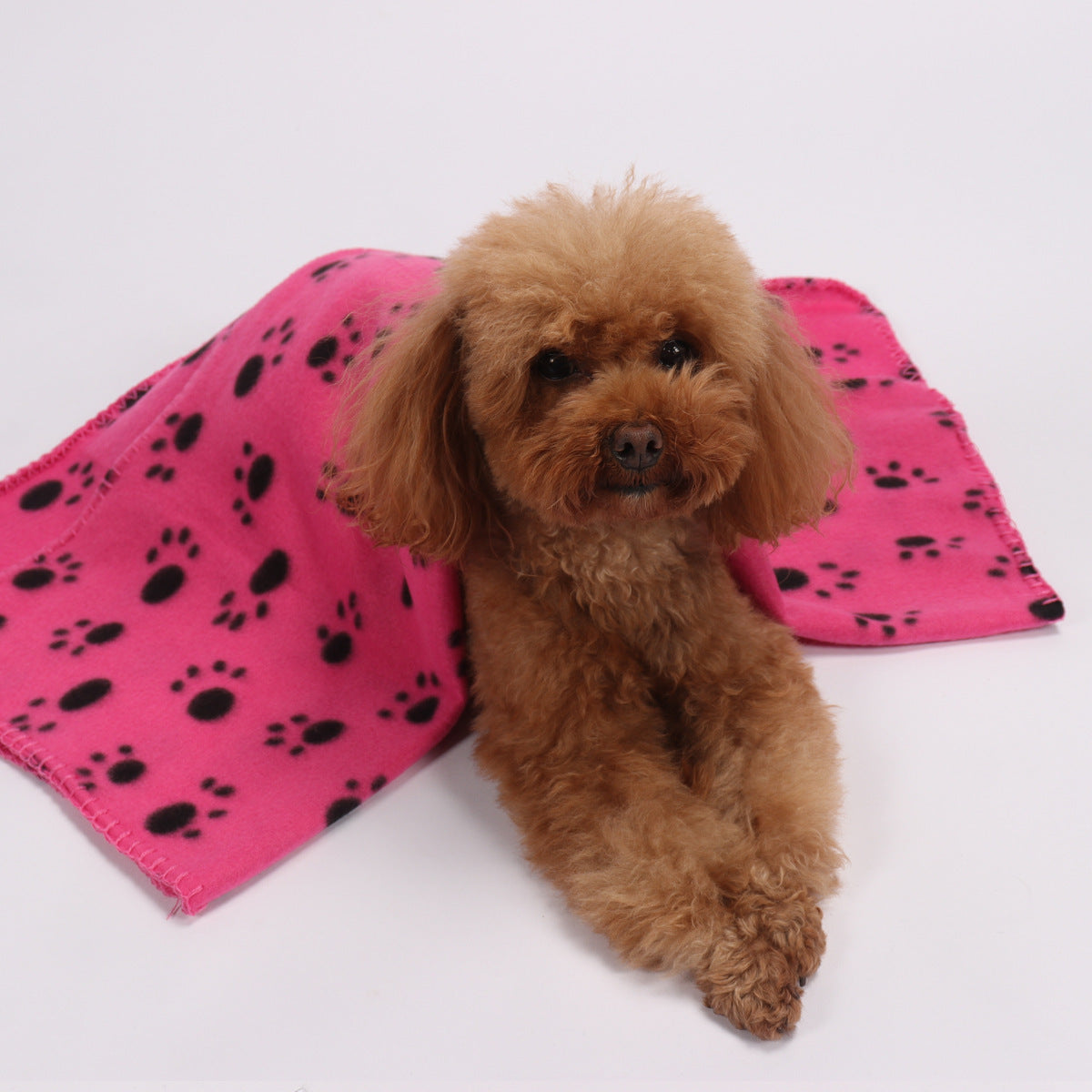 Couverture double face en polaire pour animaux de compagnie