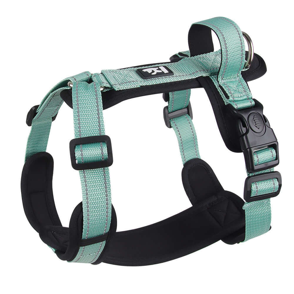 Harnais pour chien en tissu résistant avec boucle sécurisé et design ajustable en couleur mint.