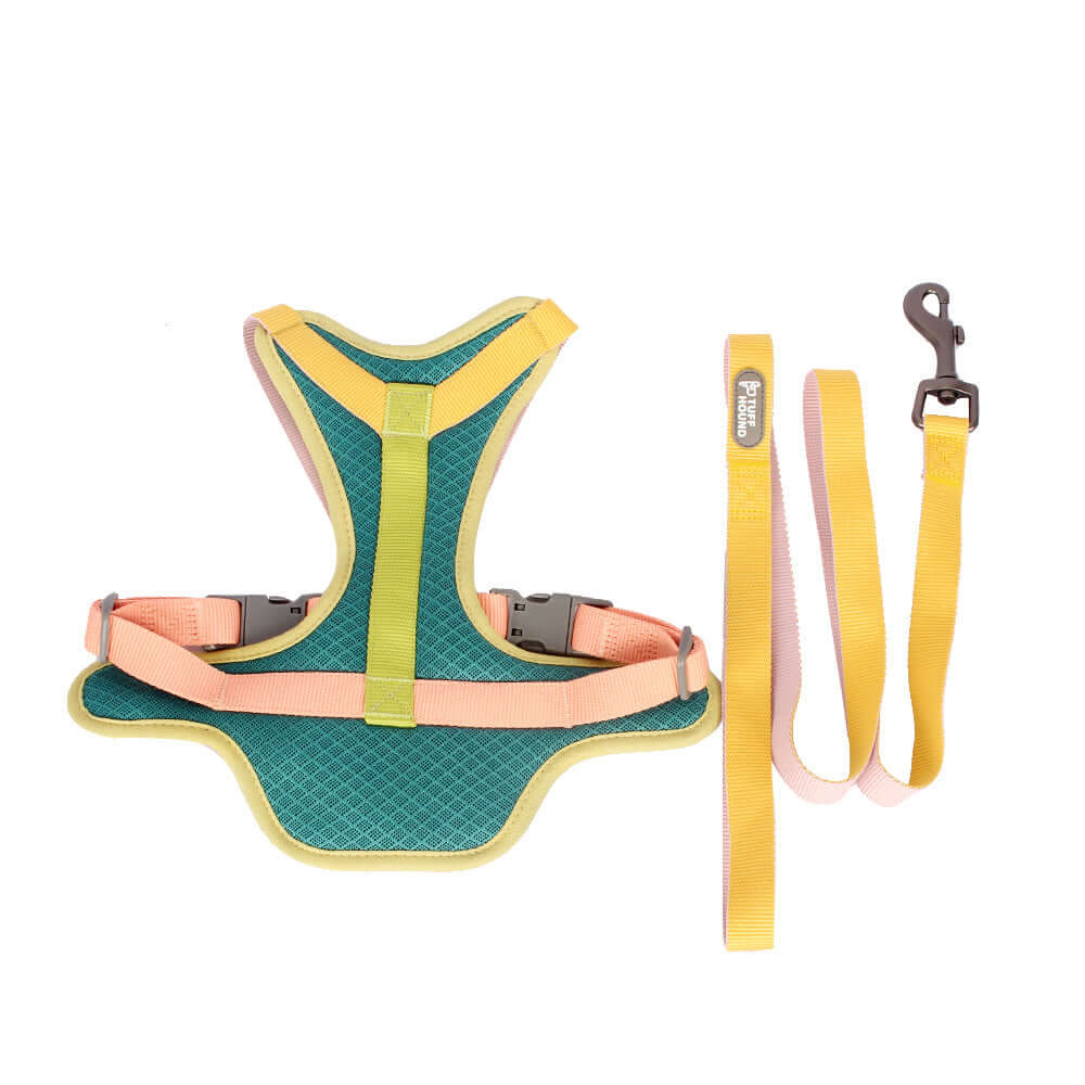 Ensemble de harnais et laisse coloré pour chien, en tissu confortable et durable, idéal pour des promenades stylées.