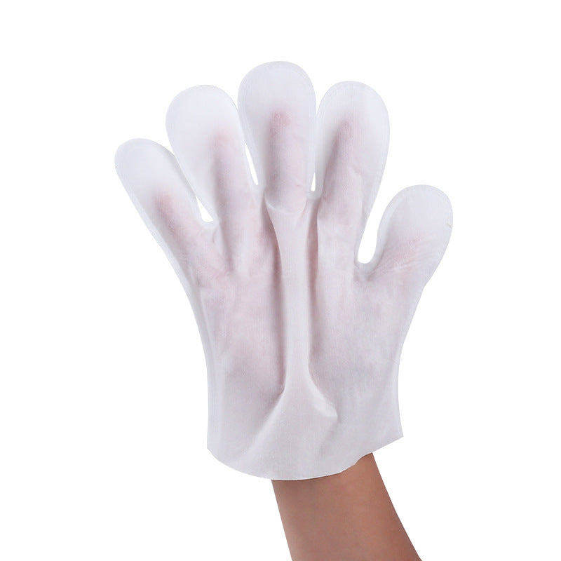 Gants de nettoyage pour animaux de compagnie sans bain
