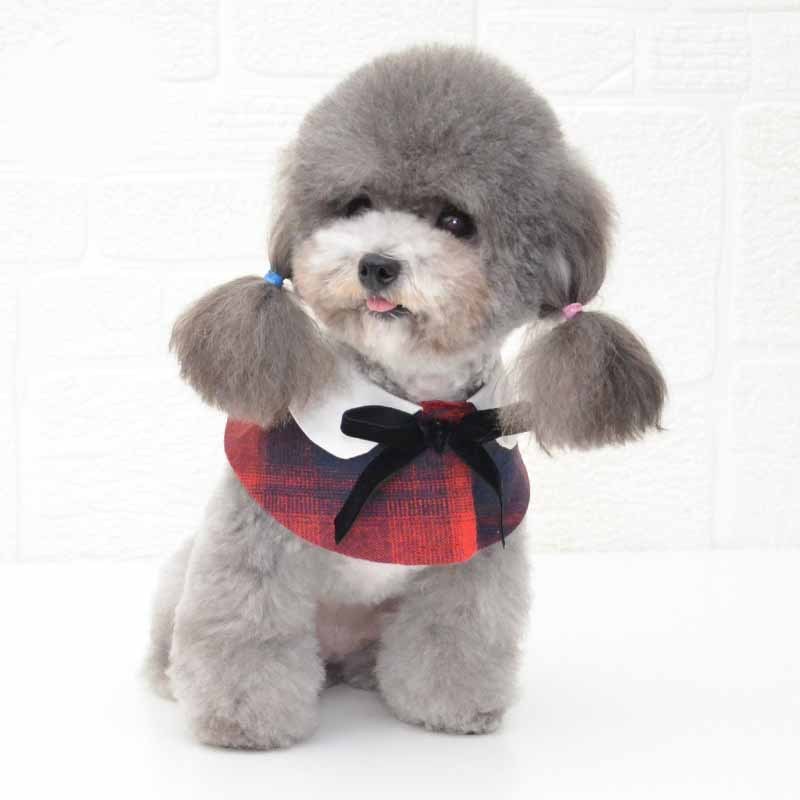 Un chien mignon en écharpe chic avec nœud papillon, ajoutant style et élégance à son look.