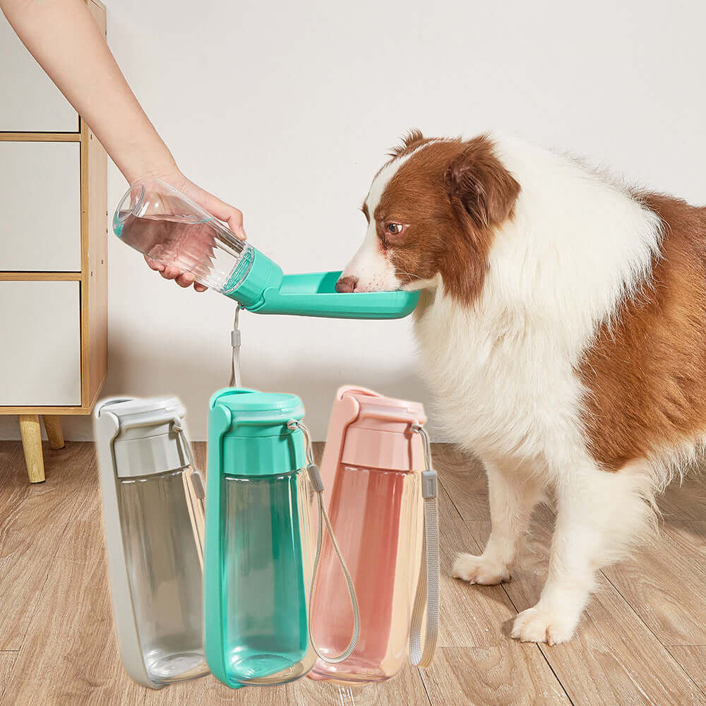 Gourde pliable pour chien de 550ml, idéale pour l'hydratation lors des activités de plein air.