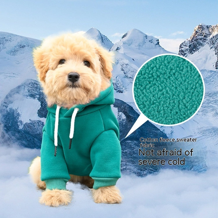 Chien en sweat à capuche en coton, idéal pour garder au chaud par temps froid, avec tissu doux et confortable.