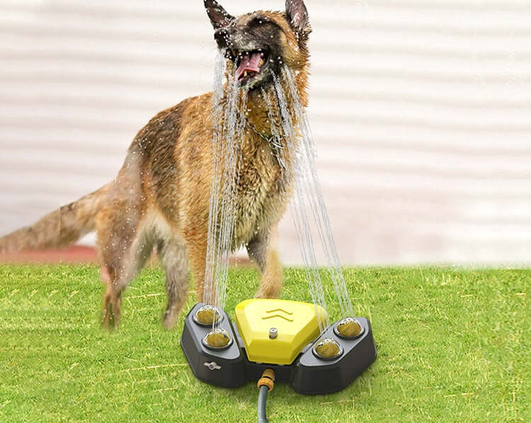 Chien s'amusant sous une fontaine à eau automatique pour rester hydraté et s'épanouir, parfait pour le bien-être animal.