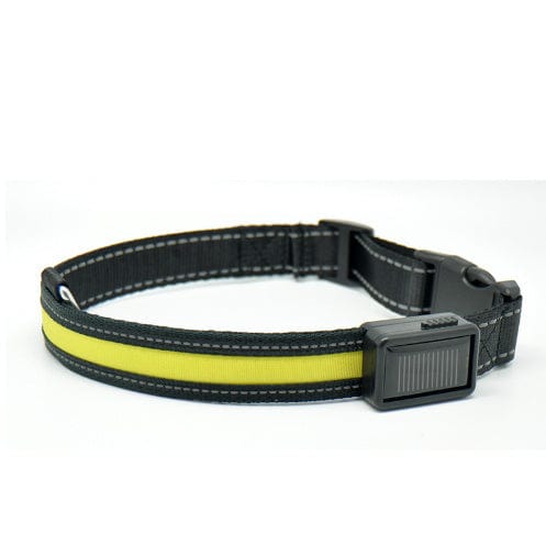 Collier de chien fluorescent en nylon noir et jaune, idéal pour la sécurité nocturne de votre animal de compagnie.