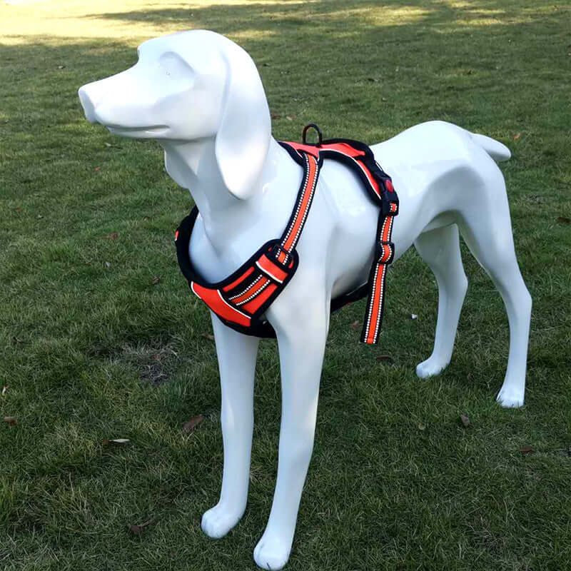 Harnais de tra... pour chien en toile Oxford, idéal pour confort et sécurité lors des promenades.