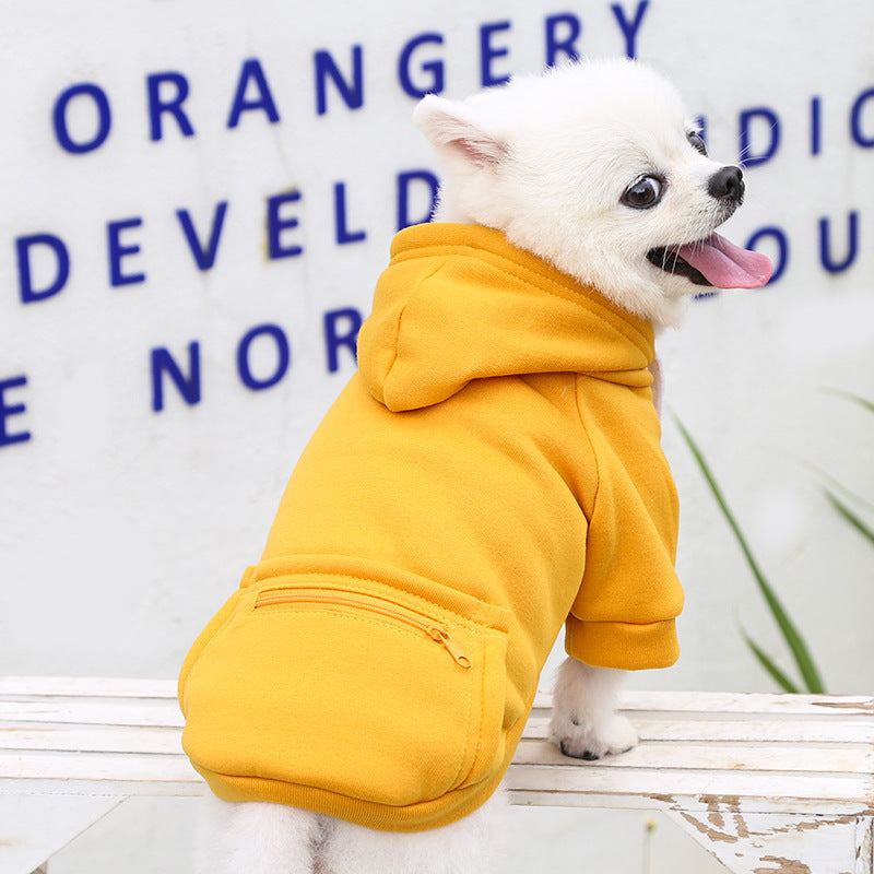Chien Pomeranien portant un pull jaune à poches zippées, idéal pour l'automne et l'hiver.