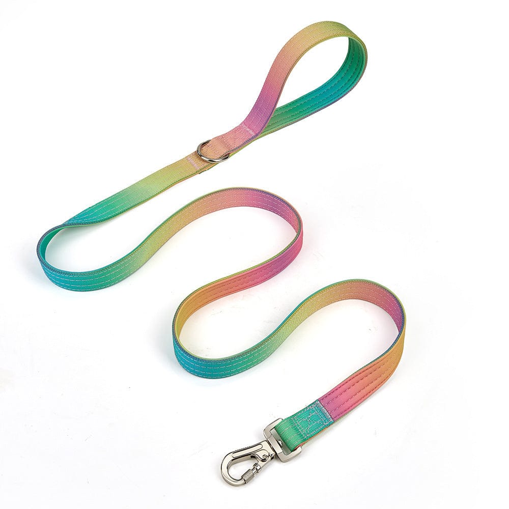 Collier dégradé large pour animaux avec coloris verts, roses et bleus, sûr et confortable pour chiens et chats.
