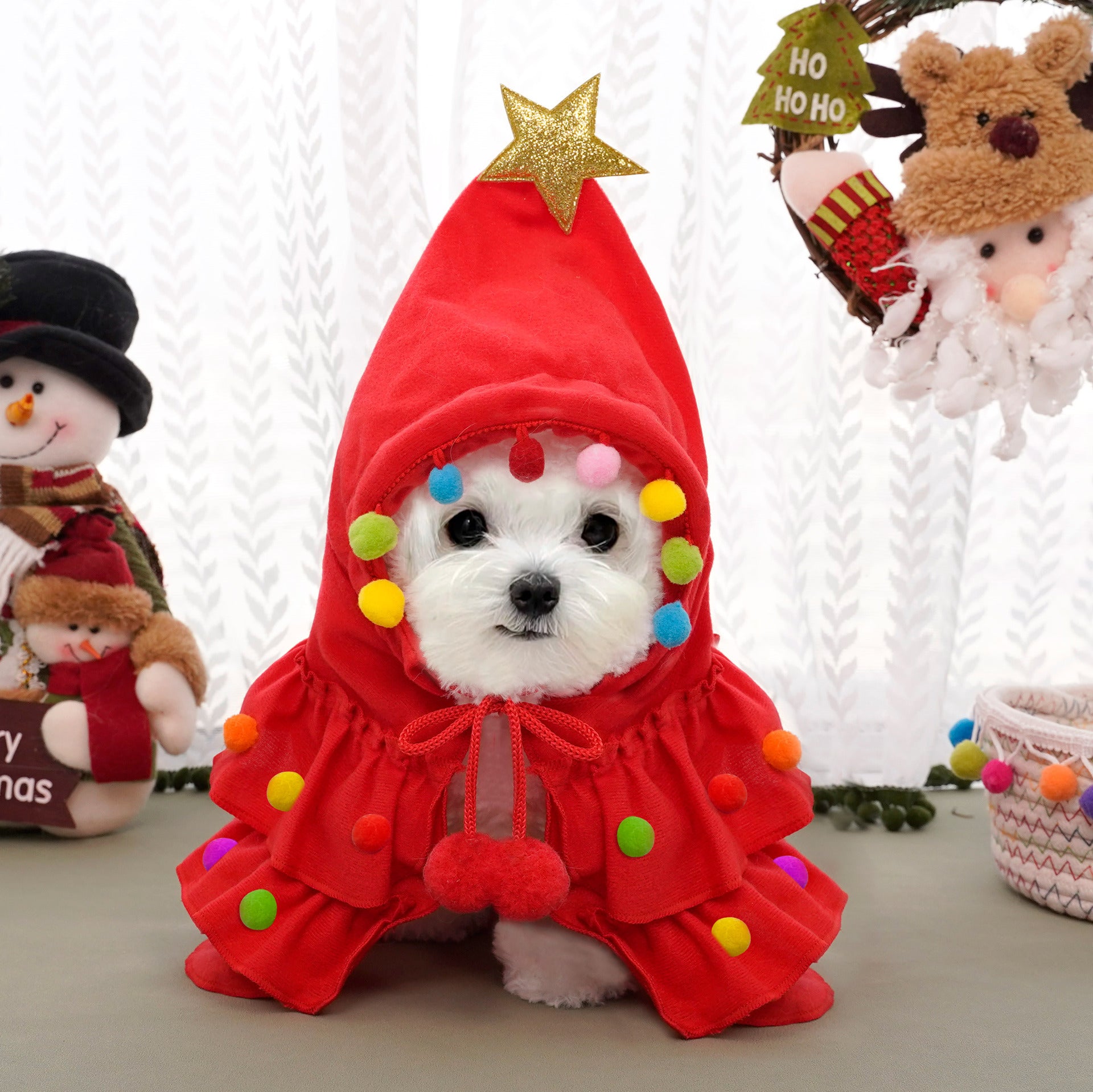 Costume de Noël pour Chat avec Étoile
