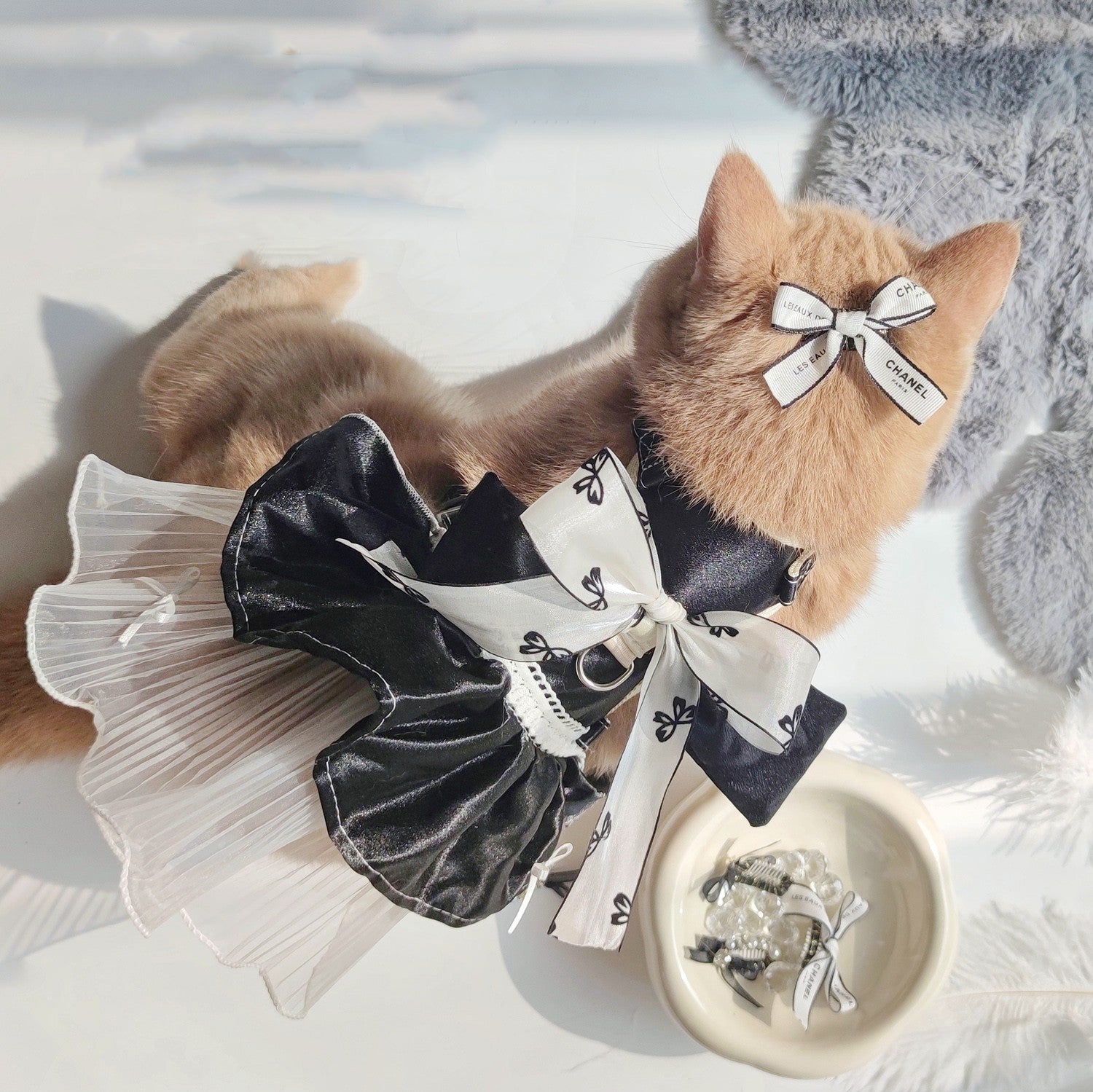 Chat portant une robe de traction noire élégante avec un nœud papillon, parfaite pour les occasions spéciales.