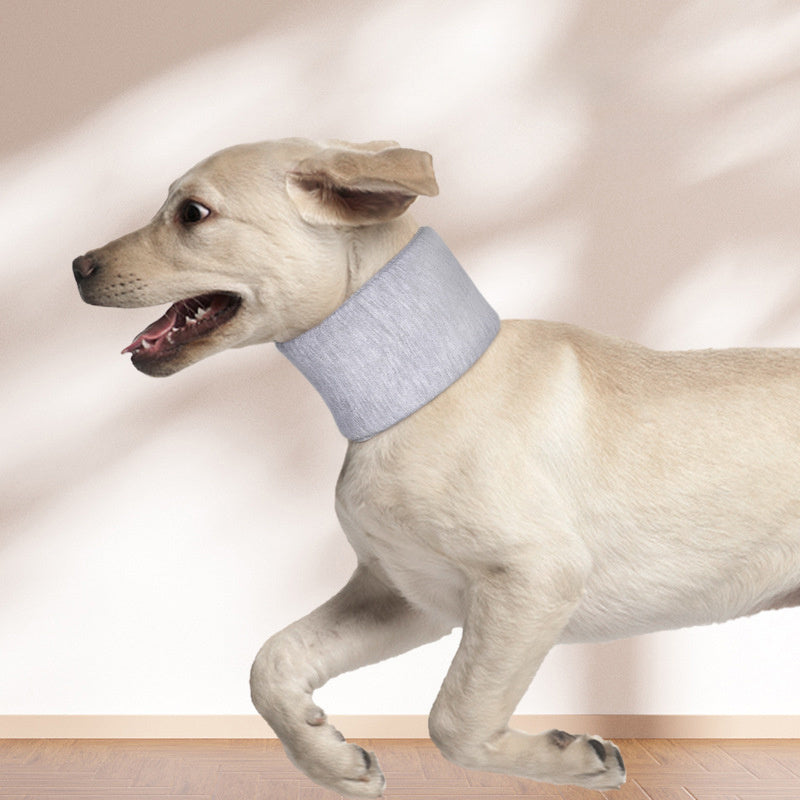 Collier de récupération pour chien, souple et confortable, idéal pour la réhabilitation après une opération.