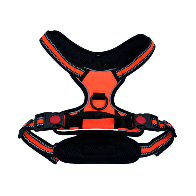 Harnais de traction pour chien en toile Oxford, robuste et confortable, parfait pour les aventures en extérieur.